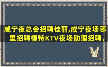 深圳夜场招聘